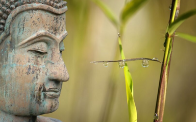 Ecologia buddhista per cambiare il nostro modo di vedere il mondo